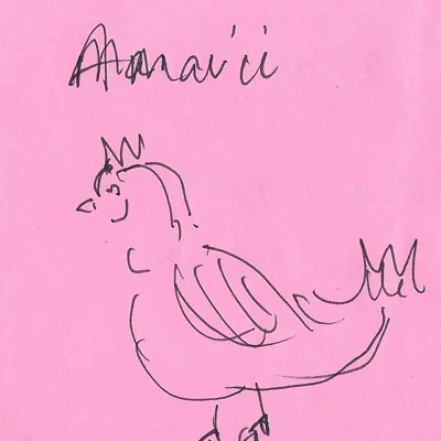 Amavii 